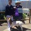 Orange County Fair: Supreme Champion and FFA Grand Champion to Marcus Wood of Sonora FFA and his WRR Krome wether.