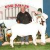 Grand National - Cow Palace
Codi Shelton & WRR Hondo by Voodoo
Grand Champion & Sr Champion Buck