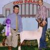 Grand National - Cow Palace
Daphne Norman & WRR Marge by King Tut
Classic Grand Champion