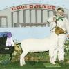 Grand National - Cow Palace
Codi Shelton & doe by WRR Hondo
Grand Champion Grade Doe & Champion Aged Grade Doe