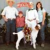 Kern County Fair
Nicole Smith & wether by Raff Goofy
Grand Champion