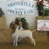 Chowchilla-Madera County Fair
Daphne Norman & Luigi by What What
Reserve Supreme Champion & 4-H Reserve Champion