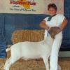 Madera District Fair
Alexis Fringer & Striker
Reserve 4-H Champion
Purchased at WRR Ranch Sale