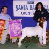 Santa Barbara County Fair
Marisa Morales & Leroy by MoButter
Reserve Supreme Champion & FFA Champion