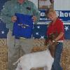 Valley Classic
Erin Johnson & Kay by Jack Knife
Progress Division
Day 1 Champion
Day 2 Reserve Ch