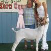 Kings County Fair
Chanie Smith & Turner
Reserve Champion Middle Weight
