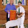 Tulare County Fair
Tyson Brem & wether by Krome
Supreme Champion & 4-H Grand Champion
