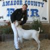 Amador County Fair
Kylie Ohm
FFA Grand Champion