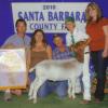 Santa Barbara County Fair
Joshua Willoughby & wether by MoButter
4-H Reserve Grand Champion
