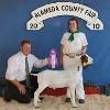 Alameda County Fair
Kate Ricart & wether by MoButter
Purchased @ Young Guns
Grand Champion & 4-H Champion
