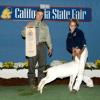 California State Fair
Daphne Norman & Bart Simpson (WRR Earl x WRR Marge)
FFA Reserve Champion
