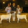 Madera District Fair
Daphne Norman
Mo Special and Watonga
Grand & Reserve Champion Breeding Does
