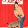 Red Wave Classic
Felicia Byrne & wether by MoButter
Purchased @ Dynasty Sale
Reserve Prospect Champion
