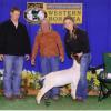 Western Bonanza Show A: Shannon Sumpter & WRR Tina were Reserve Champion Progress.
Show B: They were Champion Progress and Reserve Champion Advanced Showmanship.  WRR Tina is sired by Jack Knife and out of a Goofy daughter.