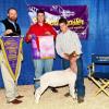 MJC Showmaster Classic:  Tyson Brem takes Progress Champion and Supreme with his Krome wether.  Judge: Adam Mendonza