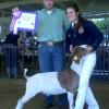 Merced County Fair: Grand Champion Montanna Oh's Bred & Fed wether sired by MoButter.