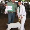 Merced County Fair: 4-H Reserve Champion Clayton Sardella and "Frank the Tank" bred & fed by Clayton, and sired by Krome.
