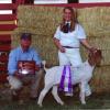 Kings Fair: Reserve Grand Market Goat & FFA Champion shown by Hannah Maccagno, sired by Krome.