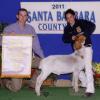 Santa Barbara County Fair: FFA Reserve Grand Champion for Jacqueline Higa.  Judge: Jess Yeaman