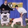 Western Bonanza A: Reserve Supreme and Prospect Champion to Tyson Brem and his wether sired by Krome.  Judge: Al Schminke