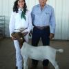 Colorado River Fair (Blythe): Grand Champion to Cristina Bequer and her wether sired by WRR What What.  Cristina was 2nd in Adv Showmanship!