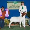 CA Mid-State Fair: Grand Champion to Alexis Whiteford and her wether purchased at the Dynasty #1 Sale.  Alexis also won Intermediate showmanship and was 2nd in Advanced.  Judge: Kalen Poe