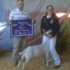 Napa Town & Country Fair: Reserve Grand Champion and FFA Champion to Zoe Alfaro and her Ralphie wether, bred by Del Sol Goats and placed by WRR.  Judge: Todd Wise