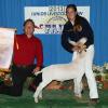 Santa Barbara County Fair: FFA Reserve Grand Champion to Riahann Willoughby and her Scorpio wether.
