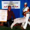 Santa Barbara County Fair:  Reserve Grand Champion to Justina Moses and Mike.  Judge: Billy Bob Mocqygemba